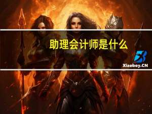 助理会计师是什么