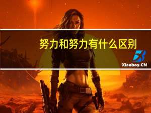 努力和努力有什么区别