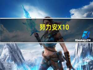 努力安X10（努力安）