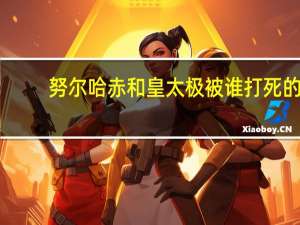 努尔哈赤和皇太极被谁打死的（努尔哈赤和皇太极的关系）