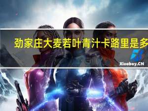 劲家庄 大麦若叶青汁卡路里是多少