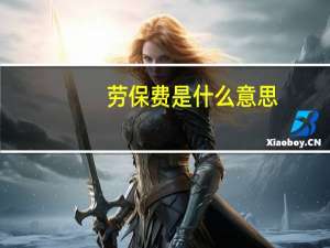 劳保费是什么意思