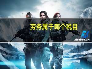 劳务属于哪个税目