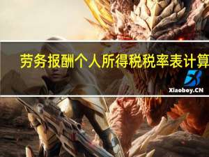 劳务报酬个人所得税税率表计算器（劳务报酬个人所得税公式）