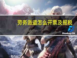 劳务派遣怎么开票及报税