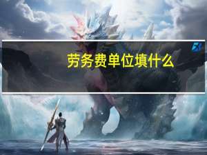 劳务费单位填什么