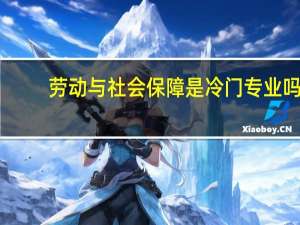 劳动与社会保障是冷门专业吗