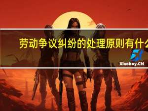 劳动争议纠纷的处理原则有什么