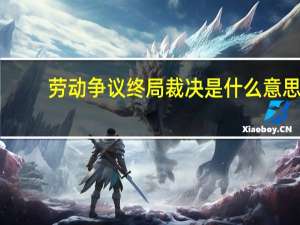 劳动争议终局裁决是什么意思