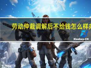 劳动仲裁调解后不给钱怎么样办