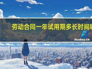劳动合同一年试用期多长时间呢