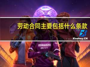 劳动合同主要包括什么条款