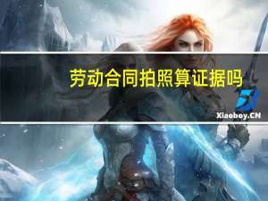 劳动合同拍照算证据吗