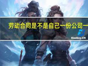 劳动合同是不是自己一份公司一份
