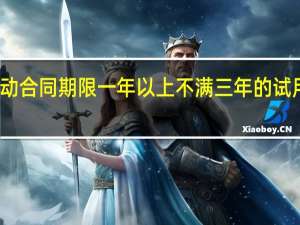 劳动合同期限一年以上不满三年的试用期不得