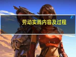 劳动实践内容及过程