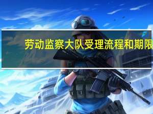 劳动监察大队受理流程和期限