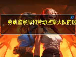 劳动监察局和劳动监察大队的区别