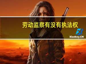 劳动监察有没有执法权