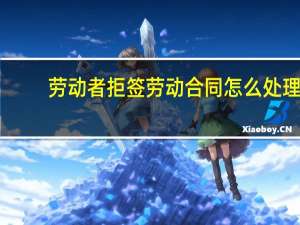 劳动者拒签劳动合同怎么处理