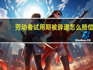 劳动者试用期被辞退怎么赔偿