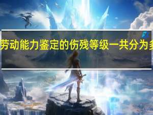 劳动能力鉴定的伤残等级一共分为多少级