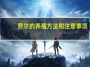 劳尔的养殖方法和注意事项