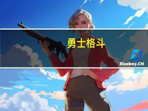 勇士格斗（关于勇士格斗的介绍）