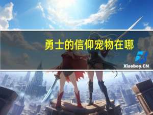 勇士的信仰宠物在哪