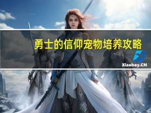 勇士的信仰宠物培养攻略