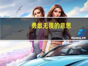 勇敢无畏的意思