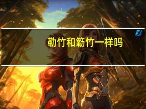 勒竹和簕竹一样吗