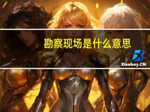 勘察现场是什么意思
