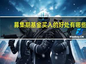 募集期基金买入的好处有哪些
