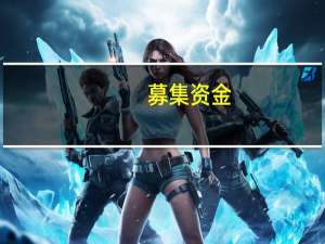 募集资金（募集）