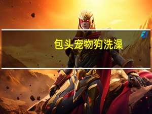 包头宠物狗洗澡