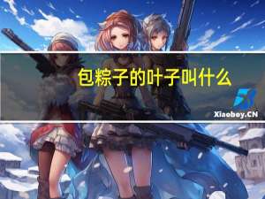 包粽子的叶子叫什么