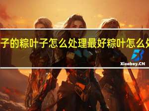 包粽子的粽叶子怎么处理最好 粽叶怎么处理才好用