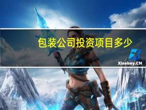 包装公司投资项目多少