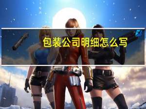 包装公司明细怎么写