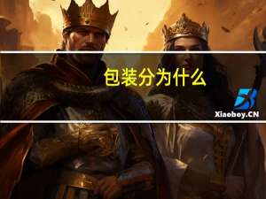 包装分为什么