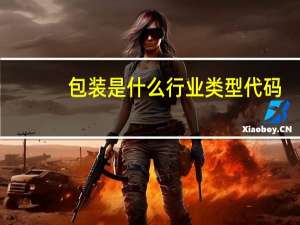 包装是什么行业类型代码