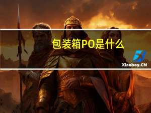 包装箱PO是什么
