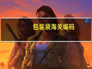 包装袋海关编码
