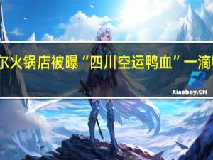 包贝尔火锅店被曝“四川空运鸭血”一滴鸭血都没有