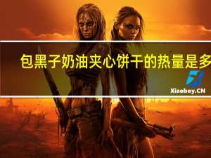 包黑子 奶油夹心饼干的热量是多少