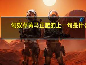 匈奴草黄马正肥的上一句是什么