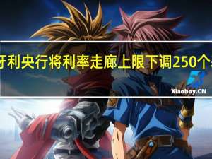 匈牙利央行将利率走廊上限下调250个基点至14%