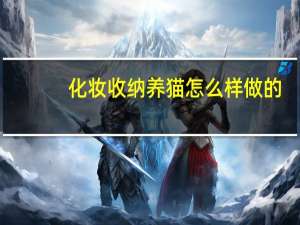 化妆收纳养猫怎么样做的