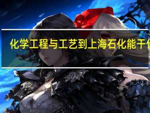 化学工程与工艺到上海石化能干什么